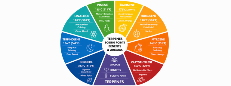 Circular terpene chart showing boiling points, benefits, and aromas