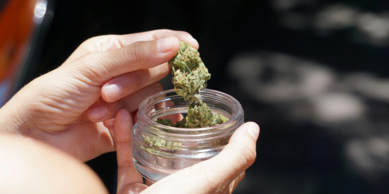Hands placing cannabis bud into a small glass jar.