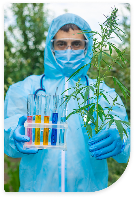 Medical Cannabis Care At ECS Wellness Goes Beyond Certification