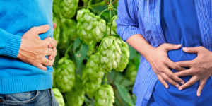 People holding their stomachs with hops plants in the background.