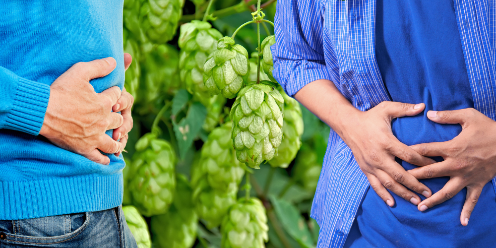 People holding their stomachs with hops plants in the background.