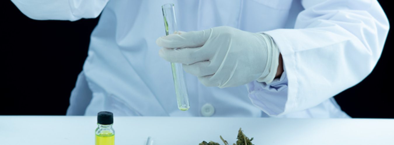 Using Marijuana for Nausea