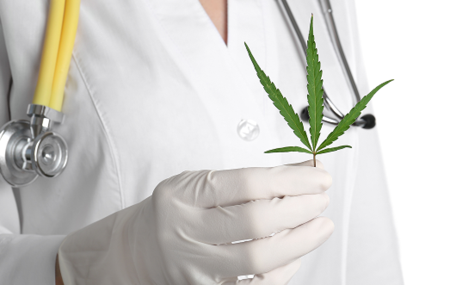 Telehealth Medical Cannabis Consultations for Boston Residents