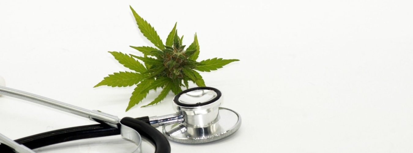 marihuana-plant-with-a-stethoscope-the-concept-o-2025-02-09-20-09-05-utc (1)