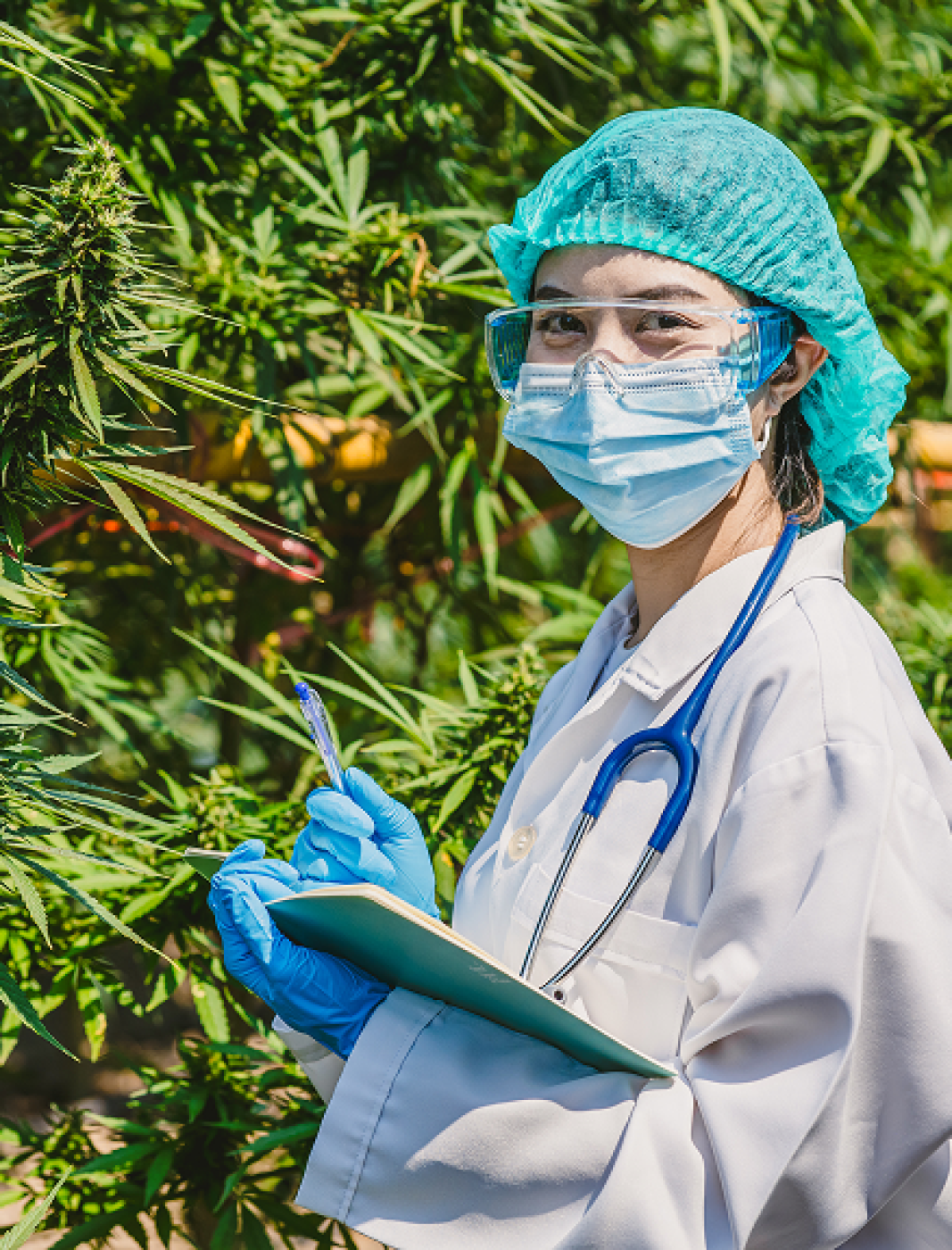 portrait-of-scientist-checking-and-analizing-hemp-2026-03-17-01-20-42-utc 1 (1)