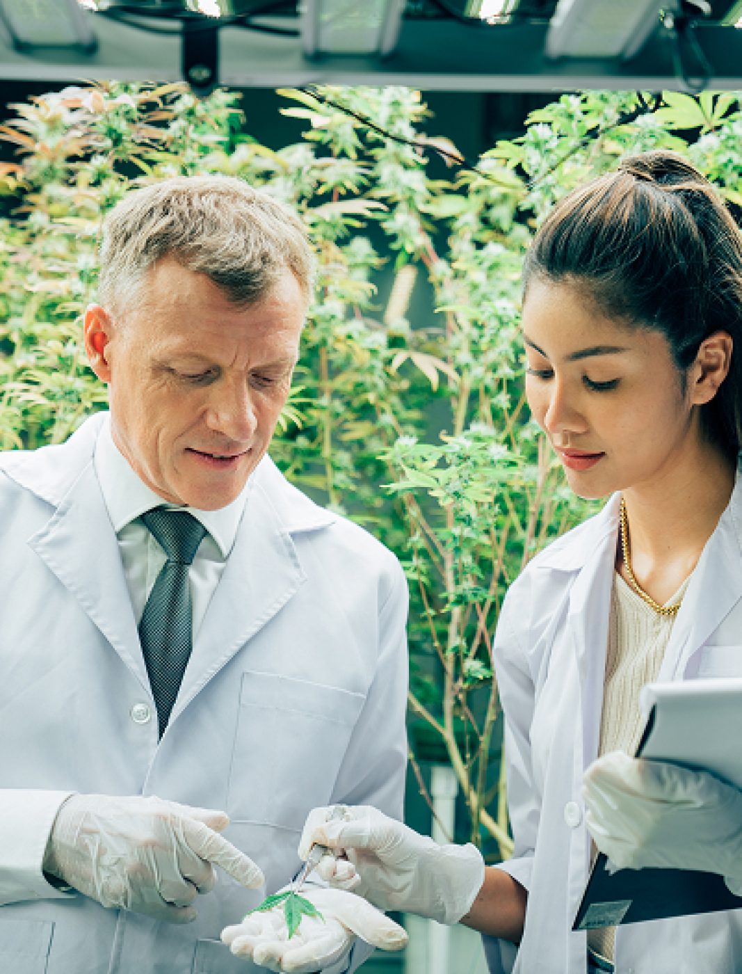 Professional Senior Scientist